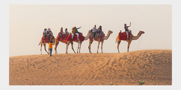 Camel Riding Desert